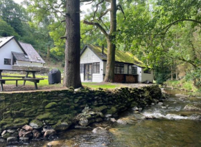 Cuckoo Cabin, Tyn Y Cwm
